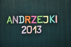 andrzejki 2013 (54)