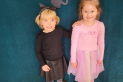 6df9f56b-b5c9-4297-9454-51f3b31fd2ed