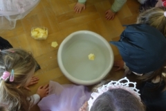 DSC06905