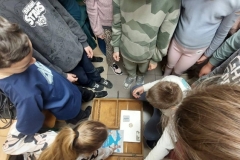 652663987_1386426539952328_4740750489044246761_n