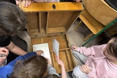 653706121_1386425996619049_4470638084503843442_n