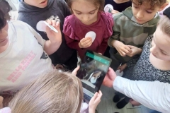 653789796_1386426213285694_3715452867143929064_n