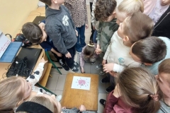 654059981_1386426583285657_3087495944106504907_n