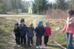 biegi_w_lesie (5)