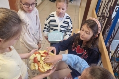 559475918_1255453146383002_4438458816238707562_n