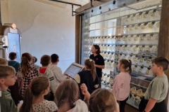 581956804_1291505476111102_6288764881854215540_n