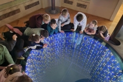 583040404_1291505496111100_7828773568905379802_n