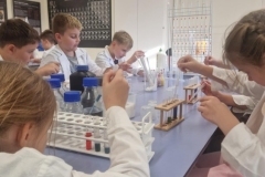 584447780_1291504556111194_5325535125241320255_n