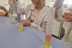 584548210_1291504739444509_1402540013642424111_n