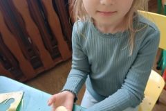 08e5c643-33b2-44c0-b692-29e8c6fb3260