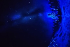 684295700_1419396116655370_2575010534137951951_n