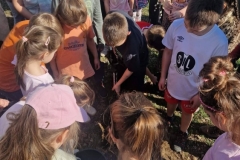 650222580_1382459060349076_5306673977898123770_n