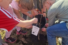 651788978_1382458850349097_1915374120537729594_n