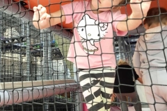 1a847d5c-4e89-4d9a-b4e6-099408d1cd44