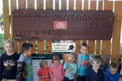 Sciezka zdrowia 2019