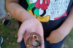 550435069_1244155970846053_9210385631047866587_n