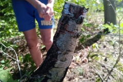 550524544_1244155750846075_1811676428919181807_n