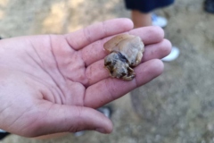 550608158_1244155937512723_4213205587099670243_n