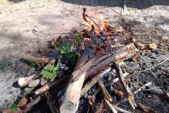 550741374_1244155787512738_1789170441960636580_n