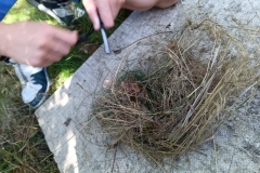 550856360_1244155704179413_7066699824188614149_n