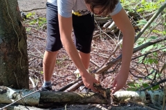 551066224_1244155827512734_3954201376365124164_n