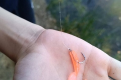 552879121_1244155857512731_7718146157129099517_n