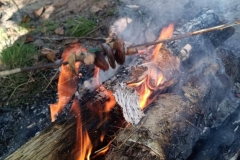 553115581_1244156010846049_2119558748737767610_n