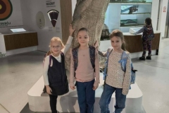 616108255_1341912981070351_203157515665799486_n