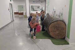 617042459_1341911307737185_8759526949605262678_n