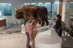 617592669_1341911354403847_6449421052269262685_n