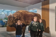 617801761_1341909977737318_1463424564601981590_n