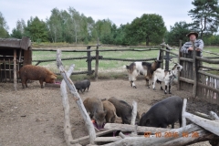 Wycieczka-rowerowa-do-Dzikiego-Boru-35