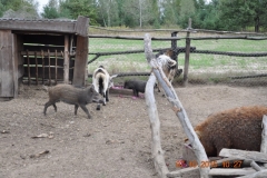 Wycieczka-rowerowa-do-Dzikiego-Boru-37