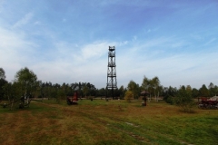 dziki bor 2013-2014 (19)