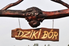 dziki bor 2013-2014 (28)