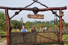 dziki bor 2013-2014 (29)