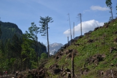 zakopane 2013-2014 (30)