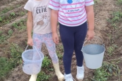 556103272_1249388466989470_8122429669402742902_n