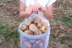 556115266_1249387320322918_9038923093614902999_n