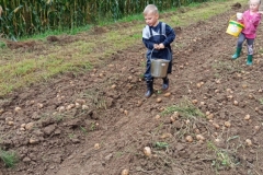 556116978_1249387976989519_3941725022643708293_n