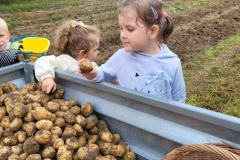 556461112_1249387596989557_6080503007637539976_n