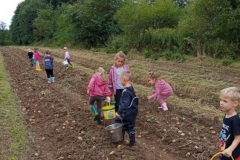 556485261_1249387283656255_5809430371543173451_n