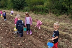 557315422_1249388500322800_817252914328115951_n