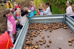 557647842_1249387530322897_1697756093423339810_n